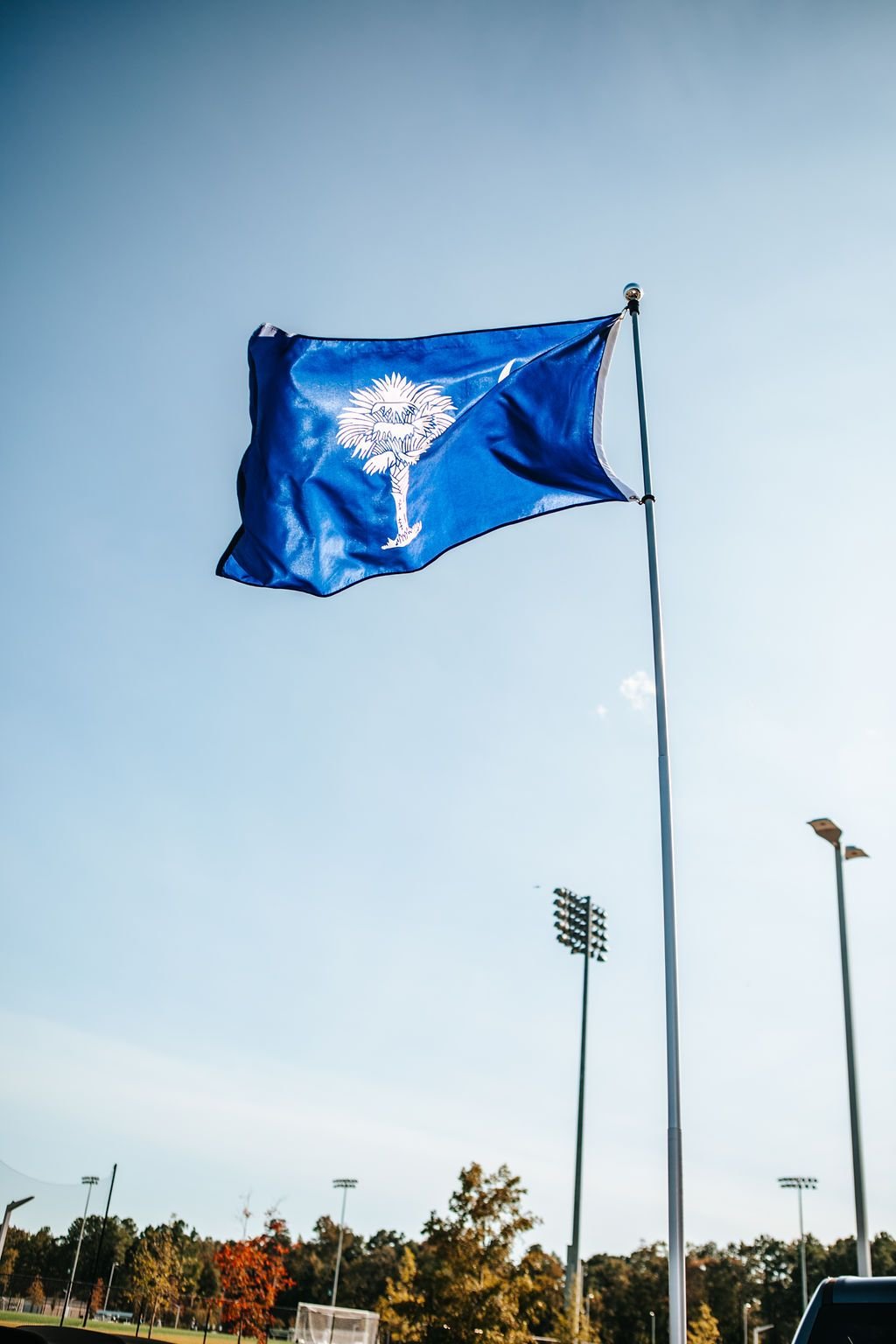 Find Your Perfect Fit: How Do I Know What Size Flag Pole I Need? - Flagpole To-Go