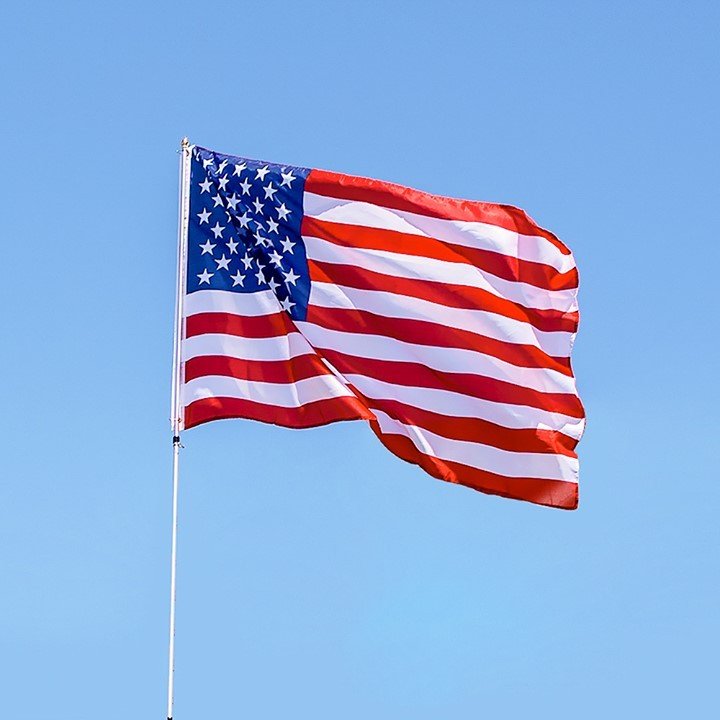 Veterans Day Events Near Chicago - Flagpole To-Go