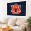 University of Aubrun 3' x 5' Team Flag - Flagpole To - Go